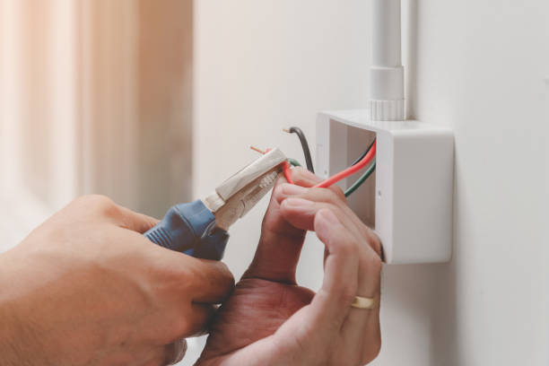 Best Electrical Panel Upgrades  in Casselton, ND